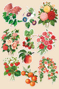 Sticker Pack: Gap Filler Fruits & Flowers