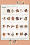 Dogs' Heads / Part 1 - Mega Sticker Sheet