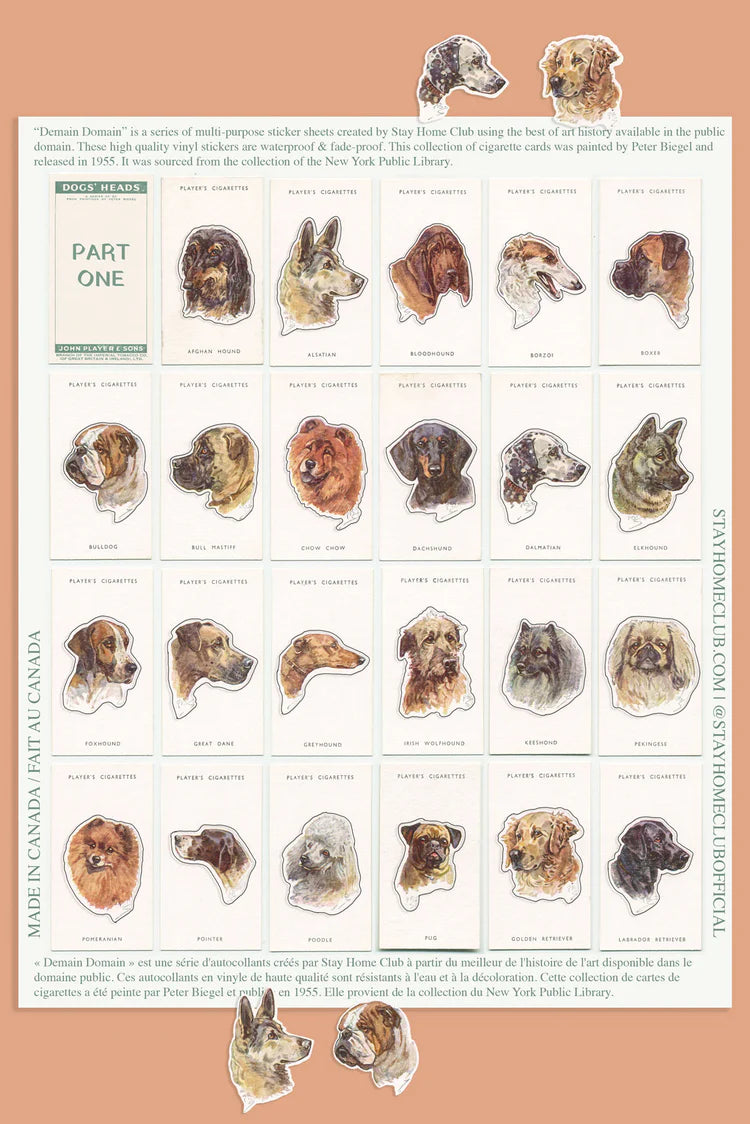 Dogs' Heads / Part 1 - Mega Sticker Sheet